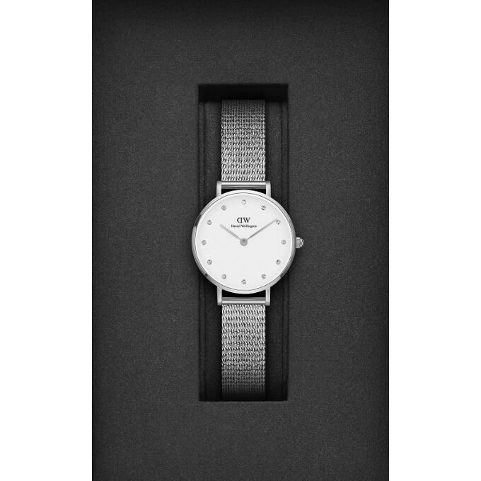 Laikrodis DANIEL WELLINGTON DW00100602 / 28 mm	