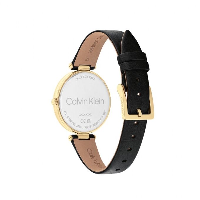 Laikrodis CALVIN KLEIN CK25100017